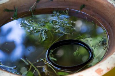 Programações culturais marcam o domingo no Bosque e no Museu