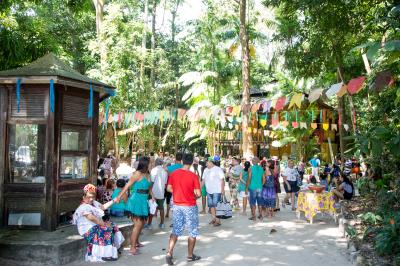 Programações culturais marcam o domingo no Bosque e no Museu