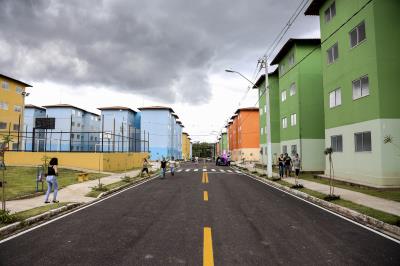 Viver Primavera - Alessandra Serrão