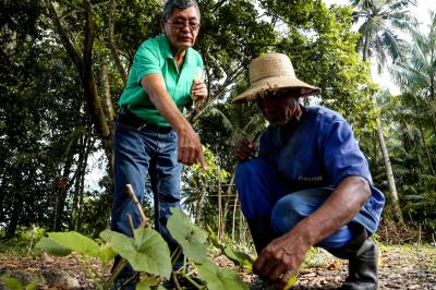 Prefeitura e Emater capacitam mais 750 agricultores familiares em Mosqueiro