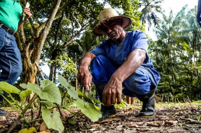 Prefeitura e Emater capacitam mais 750 agricultores familiares em Mosqueiro