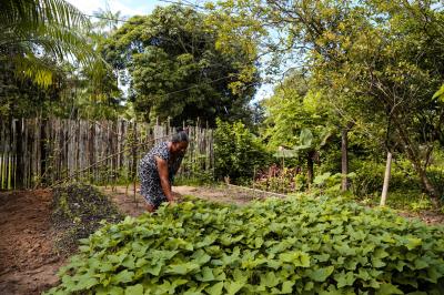 Prefeitura e Emater capacitam mais 750 agricultores familiares em Mosqueiro