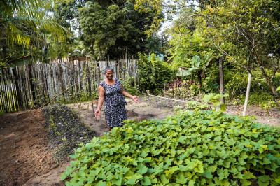 Prefeitura e Emater capacitam mais 750 agricultores familiares em Mosqueiro