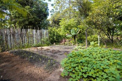 Prefeitura e Emater capacitam mais 750 agricultores familiares em Mosqueiro