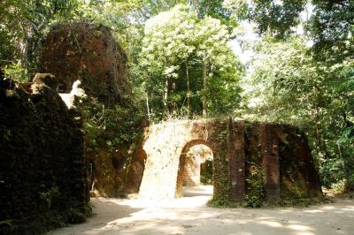 Bosque Rodrigues Alves celebra aniversário de 134 anos com programação especial