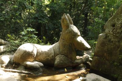 Bosque Rodrigues Alves celebra aniversário de 134 anos com programação especial