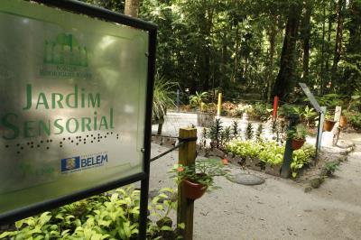 Bosque Rodrigues Alves celebra aniversário de 134 anos com programação especial