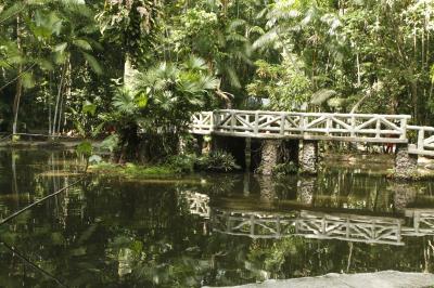 Bosque Rodrigues Alves celebra aniversário de 134 anos com programação especial