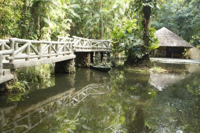 Bosque Rodrigues Alves celebra aniversário de 134 anos com programação especial