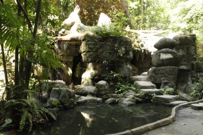 Bosque Rodrigues Alves celebra aniversário de 134 anos com programação especial