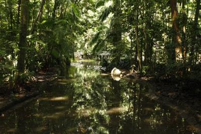 Bosque Rodrigues Alves celebra aniversário de 134 anos com programação especial