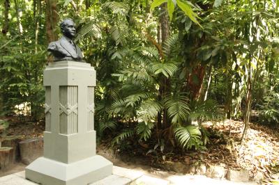 Bosque Rodrigues Alves celebra aniversário de 134 anos com programação especial