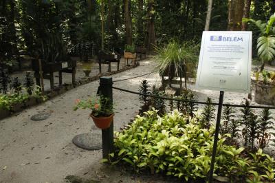 Bosque Rodrigues Alves celebra aniversário de 134 anos com programação especial