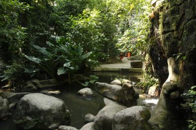 Bosque Rodrigues Alves celebra aniversário de 134 anos com programação especial