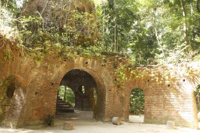Bosque Rodrigues Alves celebra aniversário de 134 anos com programação especial