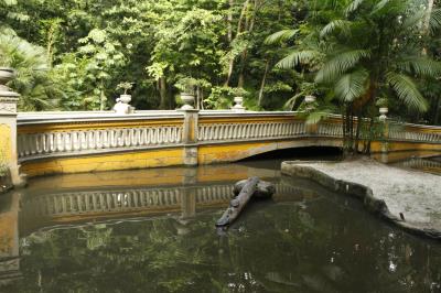 Bosque Rodrigues Alves celebra aniversário de 134 anos com programação especial