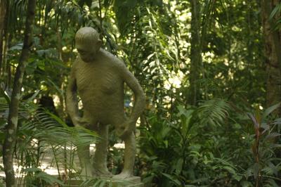 Bosque Rodrigues Alves celebra aniversário de 134 anos com programação especial