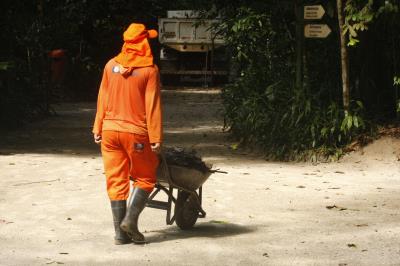 Bosque Rodrigues Alves celebra aniversário de 134 anos com programação especial
