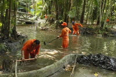 Bosque Rodrigues Alves celebra aniversário de 134 anos com programação especial