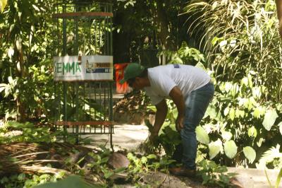 Bosque Rodrigues Alves celebra aniversário de 134 anos com programação especial
