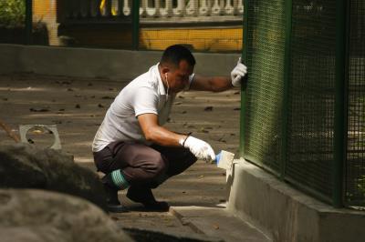 Bosque Rodrigues Alves celebra aniversário de 134 anos com programação especial