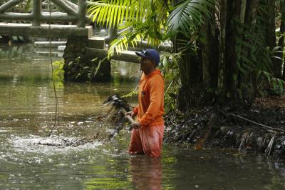 Bosque Rodrigues Alves celebra aniversário de 134 anos com programação especial
