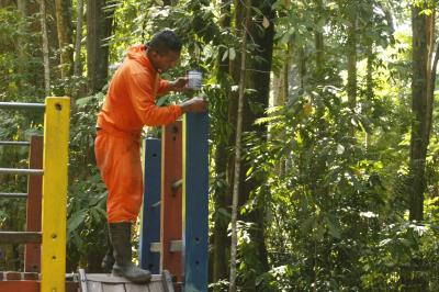 Bosque Rodrigues Alves celebra aniversário de 134 anos com programação especial