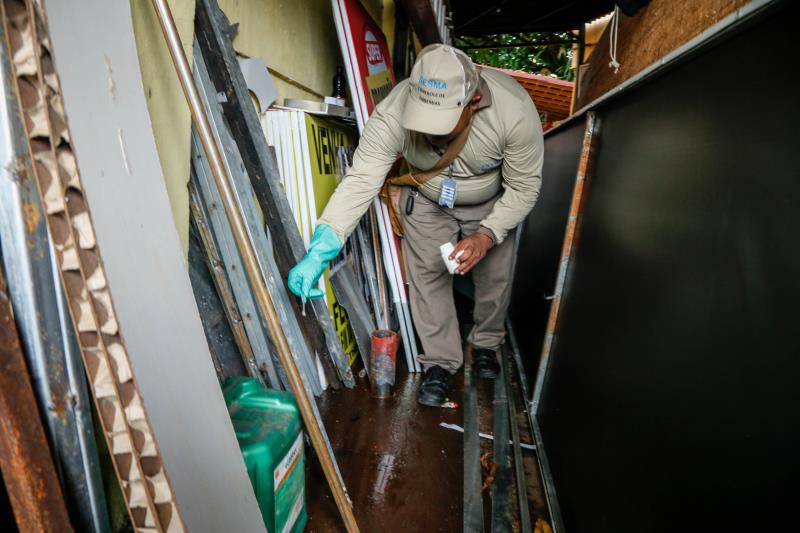 Ações de combate ao Aedes aegypti são intensificadas em Belém