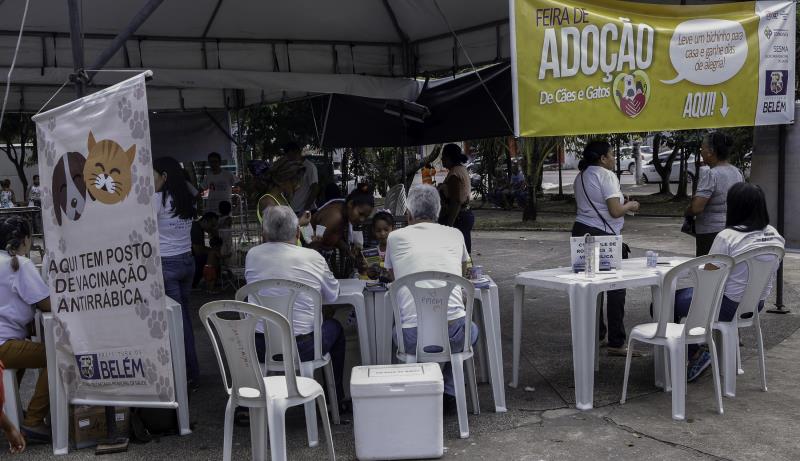 Praça do Jaú recebe Feira de Adoção de Cães e Gatos