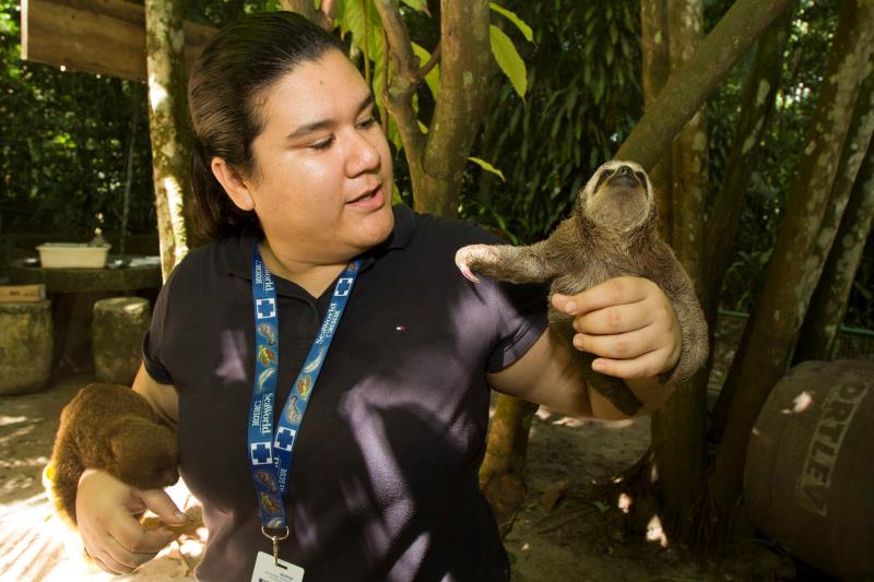 Crime: animais silvestres criados em cativeiro são abandonados em Belém