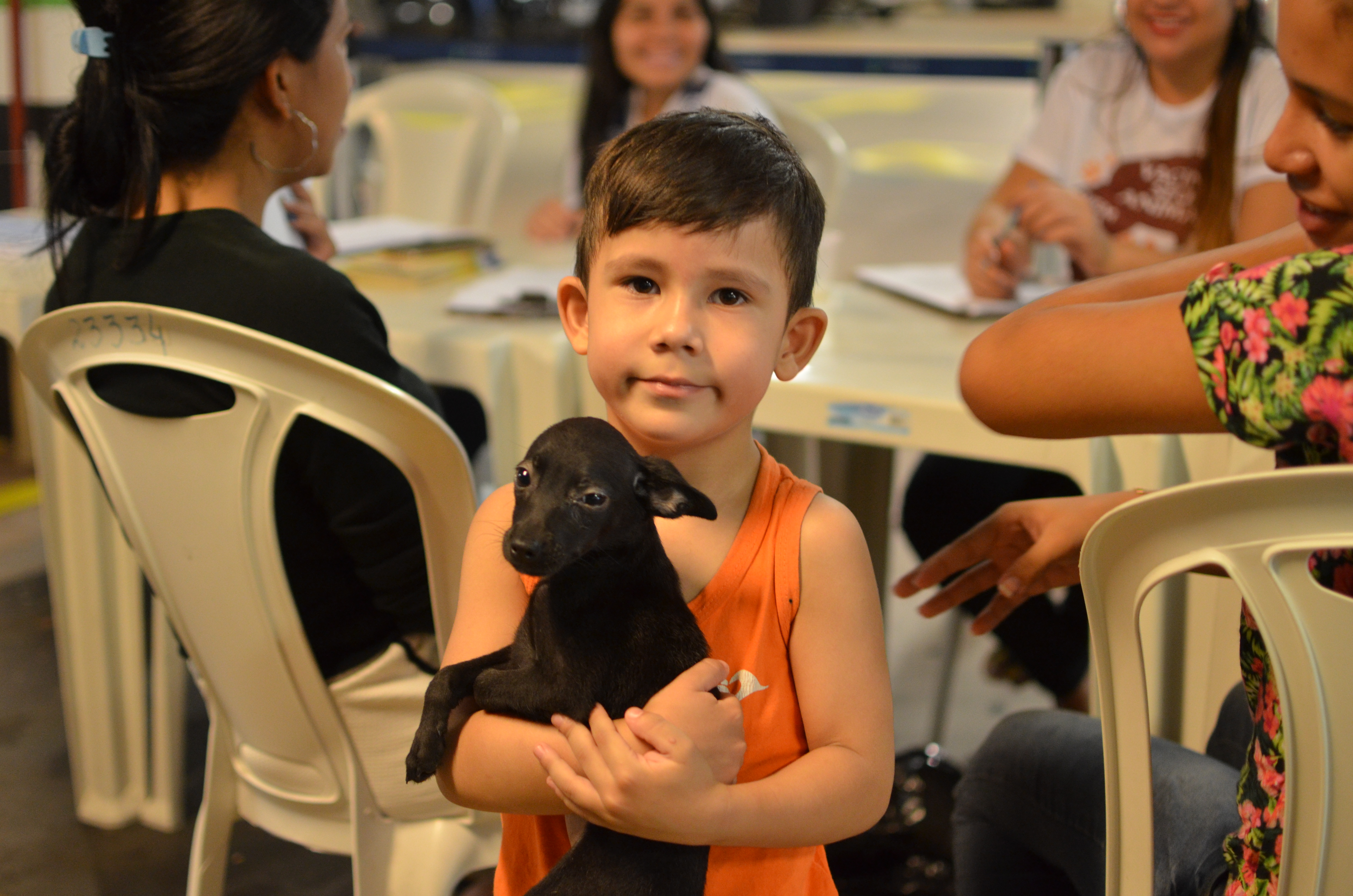20 animais adotados em feira de adoção 