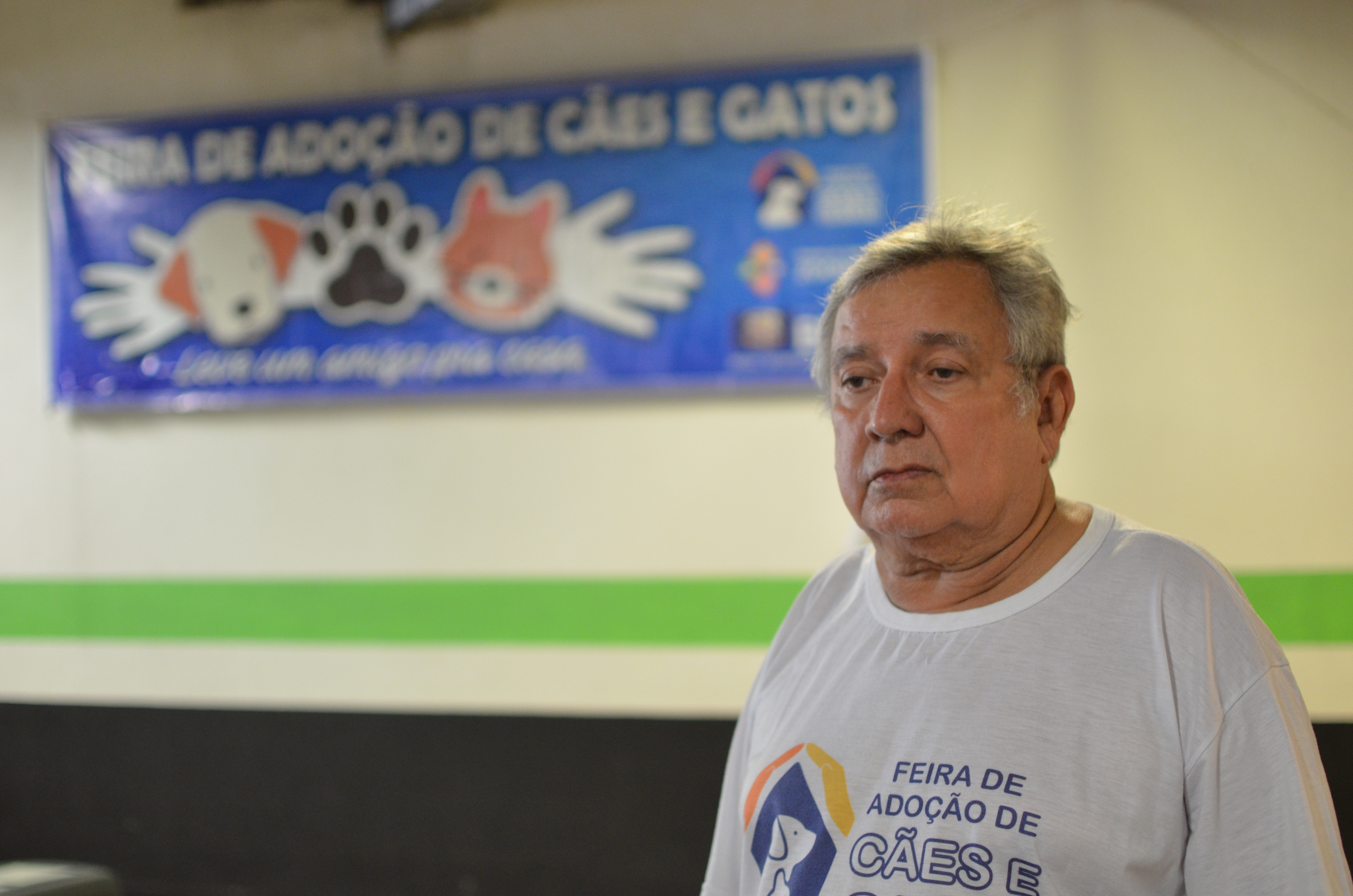 20 animais adotados em feira de adoção 