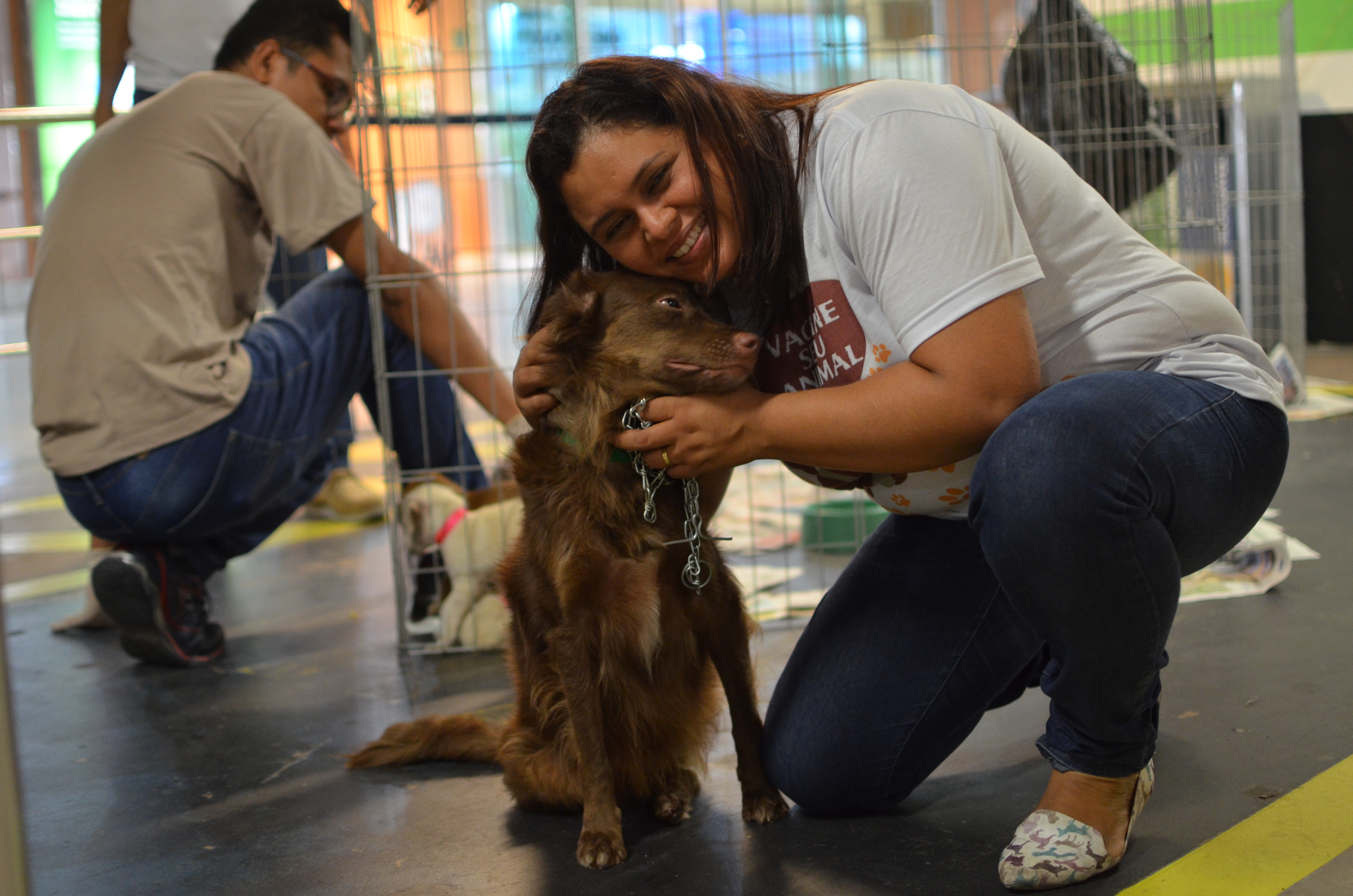 20 animais adotados em feira de adoção 
