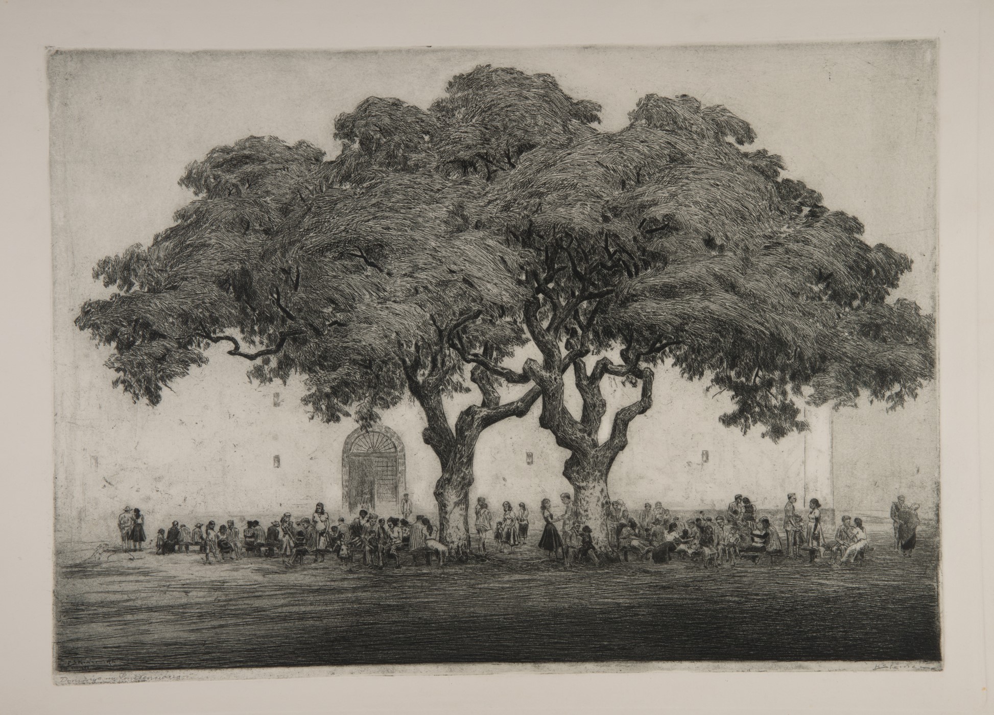 Mabe recebe exposição inédita do artista plástico austríaco Hans Steiner 