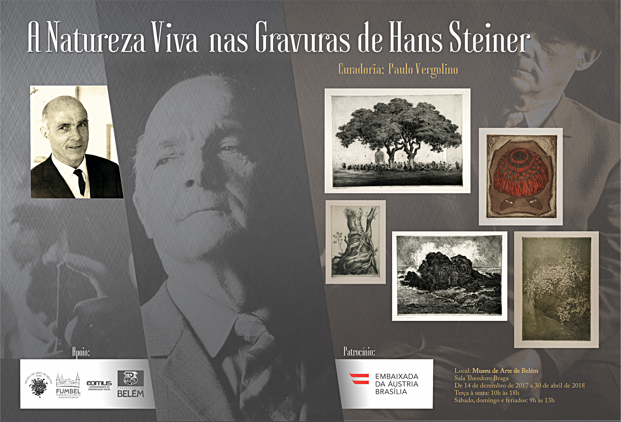 Mabe recebe exposição inédita do artista plástico austríaco Hans Steiner 