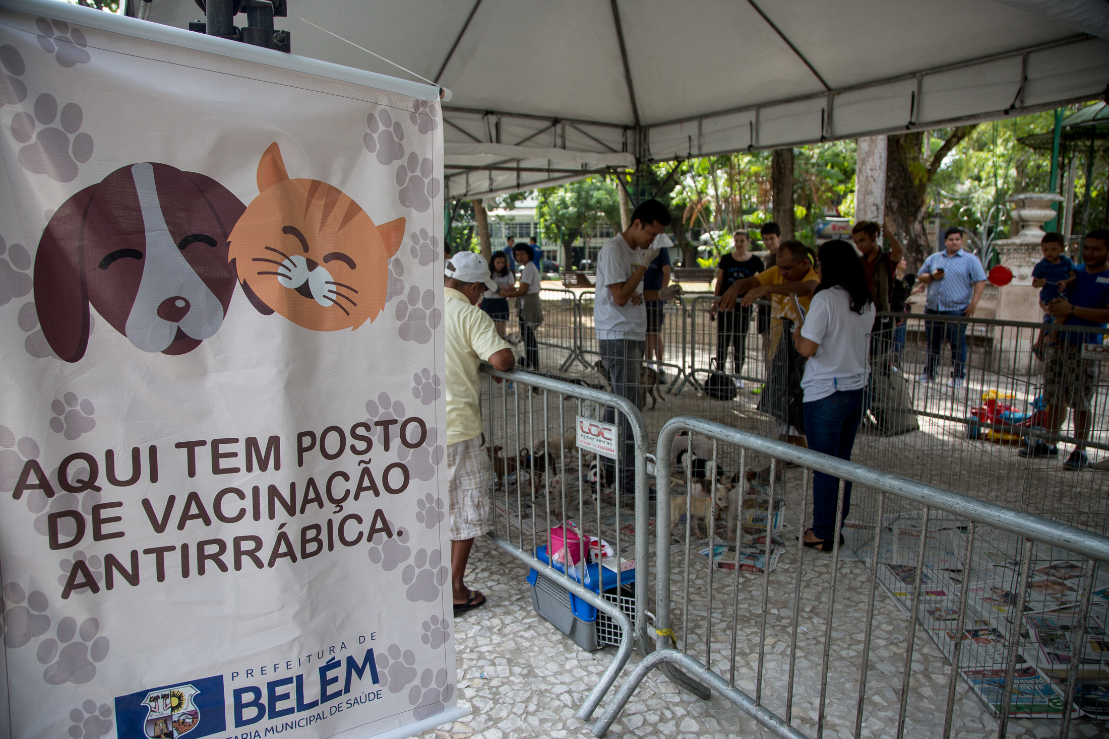 Feira de adoção garante novos lares para cães e gatos