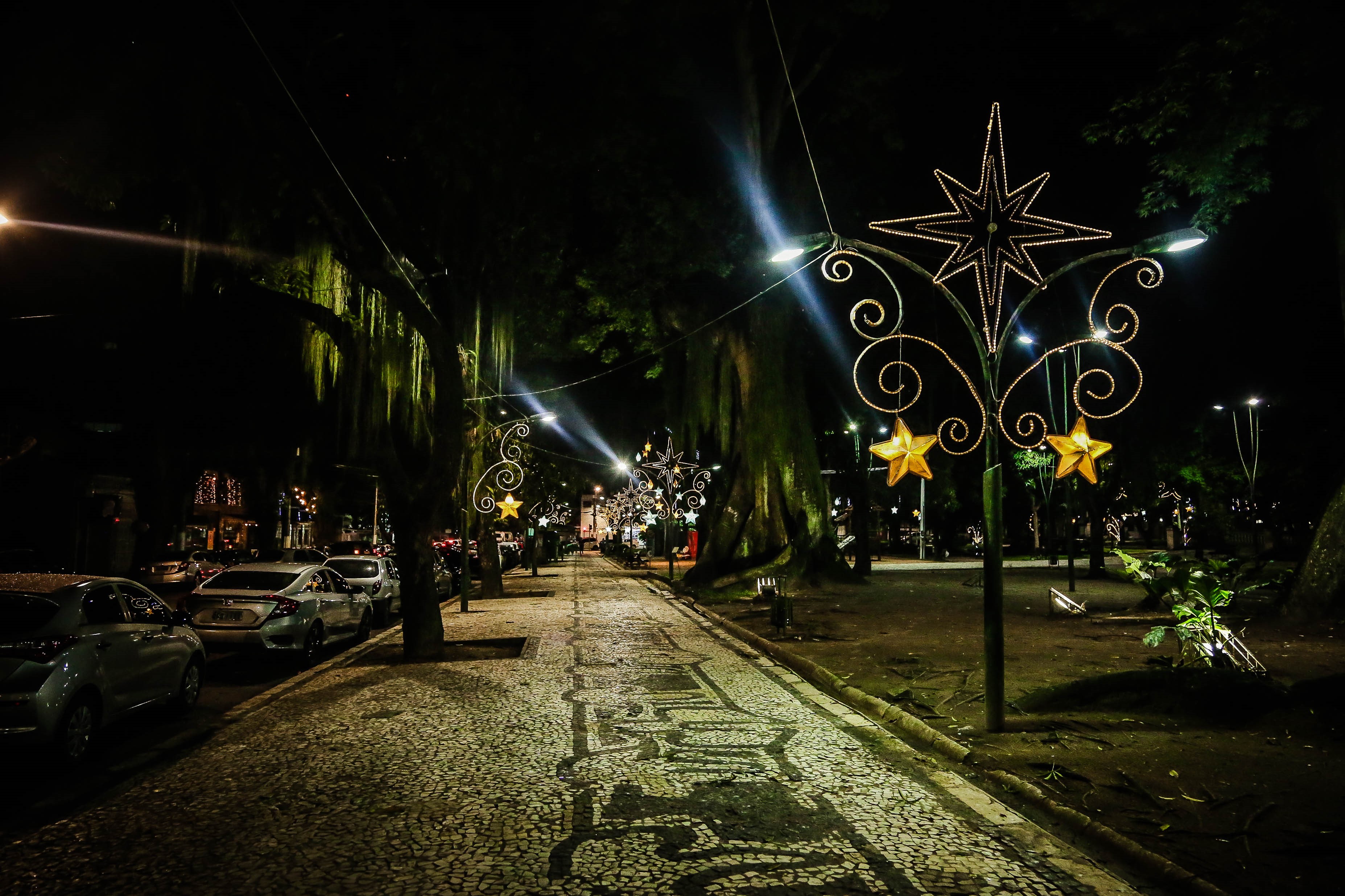 Decoração temática torna Belém mais bonita nas festas de fim de ano