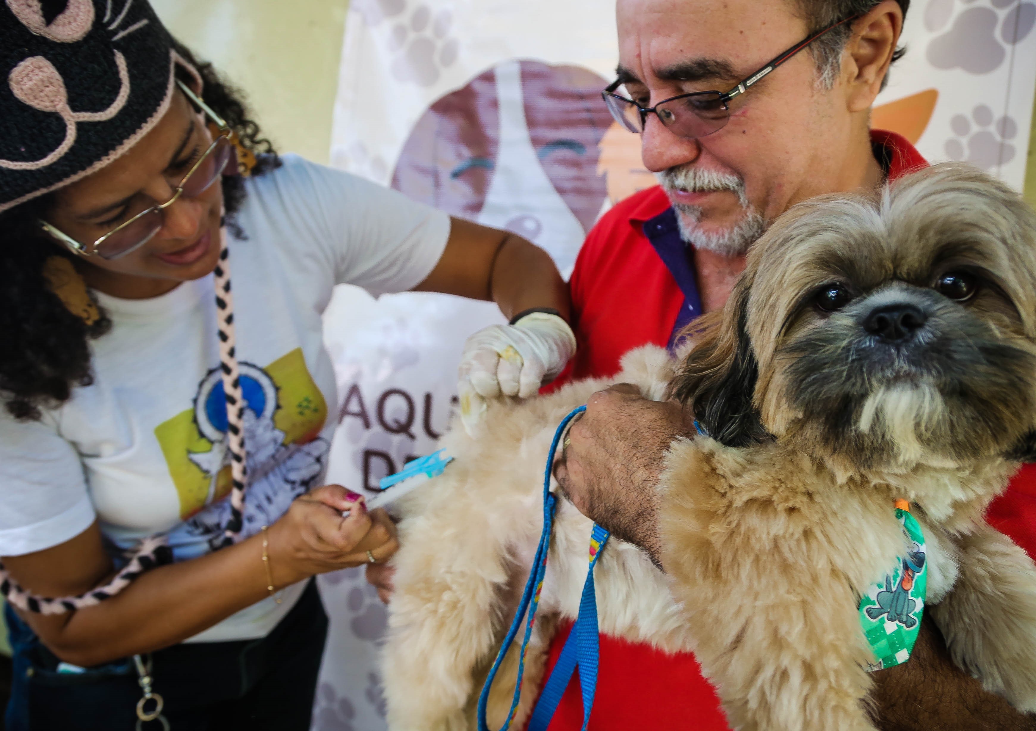Final de semana com ações de adoção e vacinação de cães e gatos