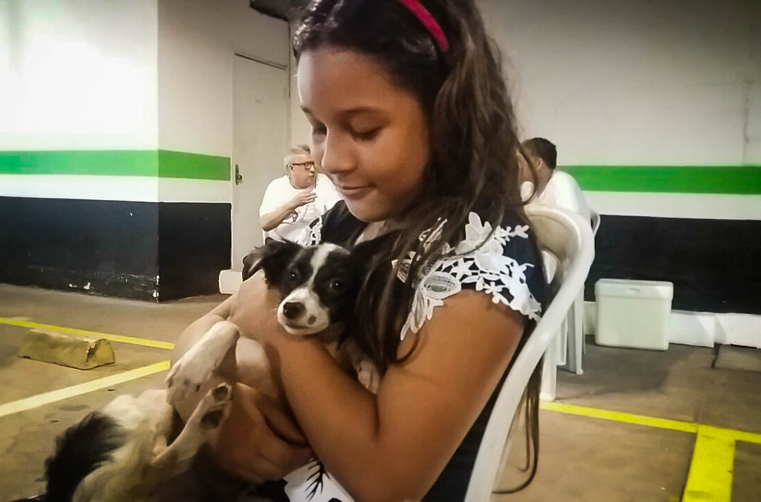Final de semana com ações de adoção e vacinação de cães e gatos