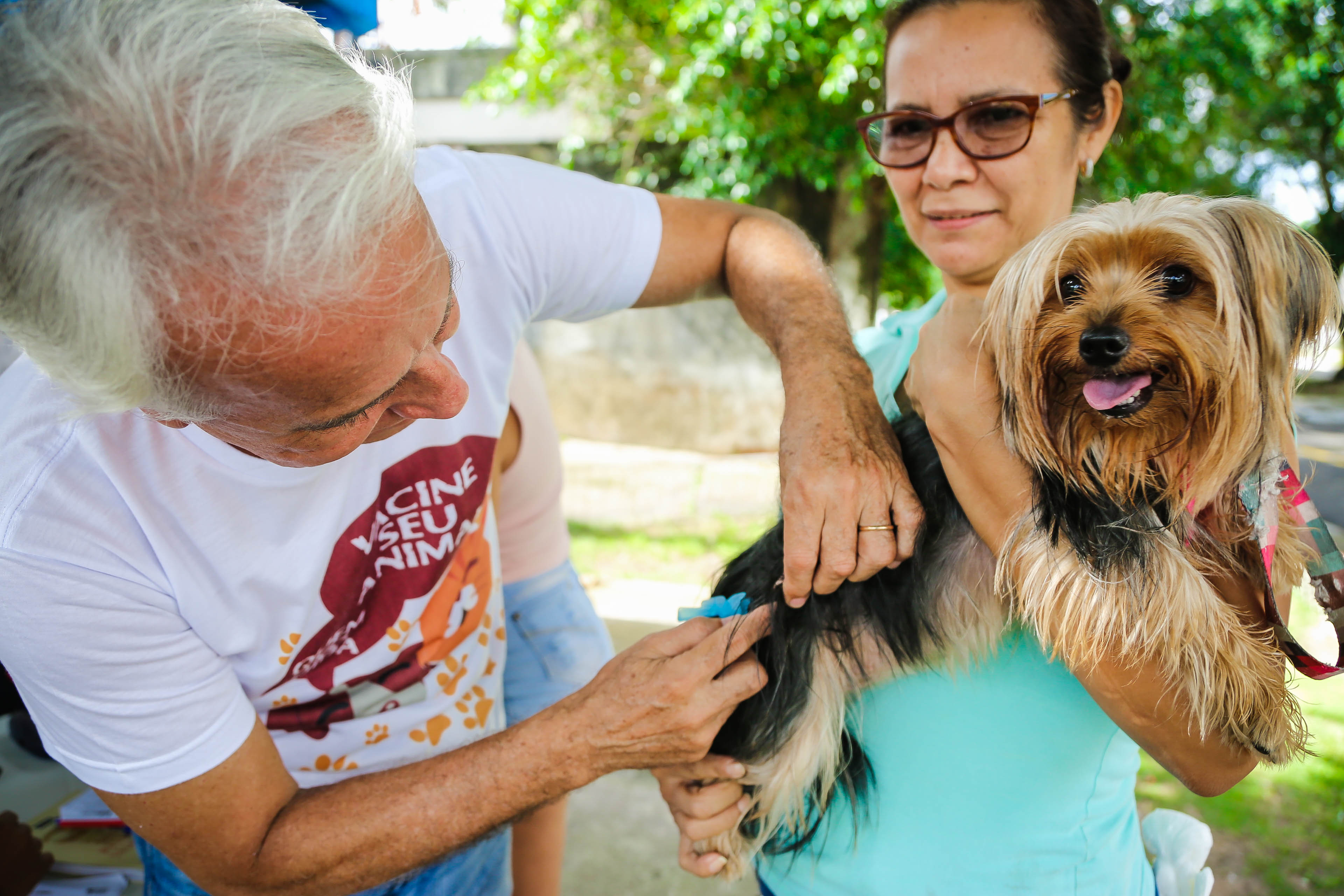 Final de semana com ações de adoção e vacinação de cães e gatos