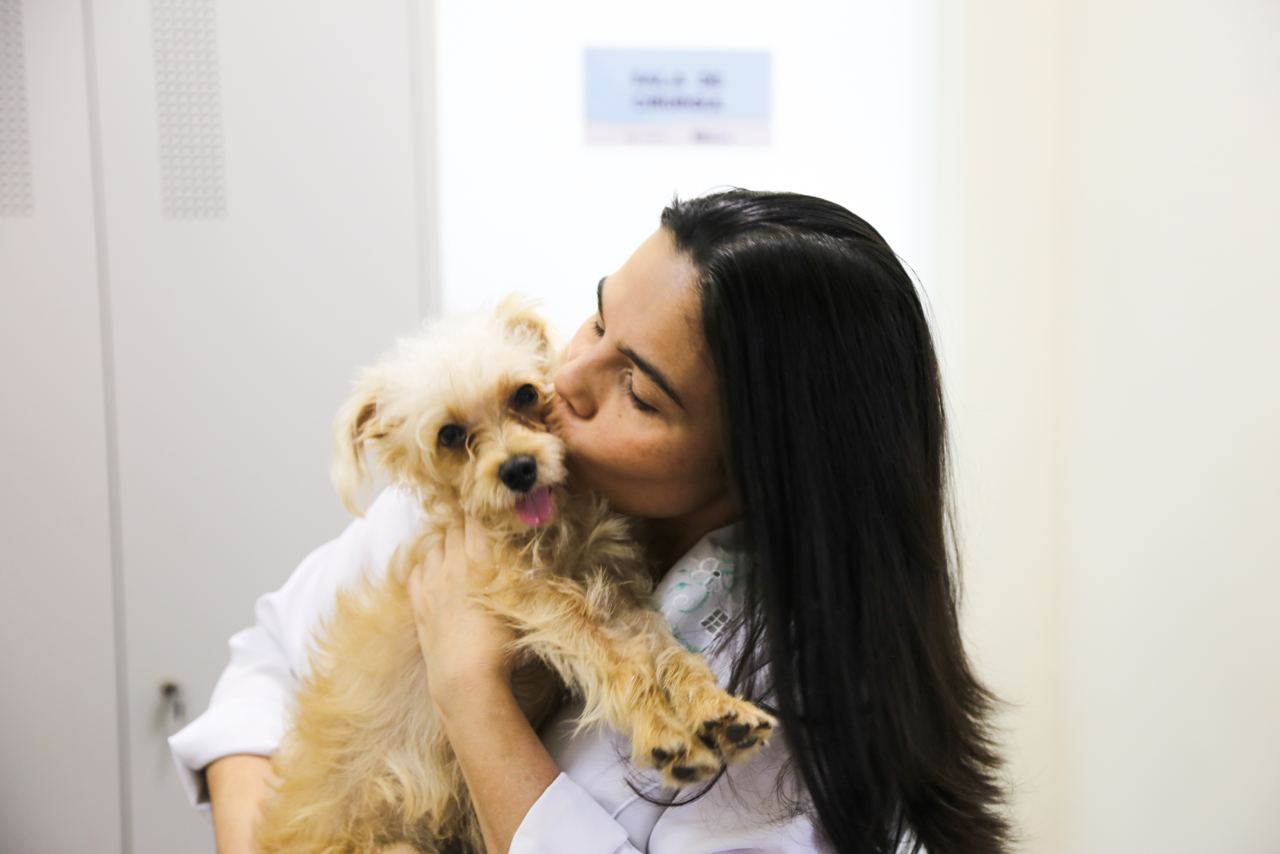 Prefeitura castra mais de 4 mil animais e viabiliza adoção de 800 em dois anos