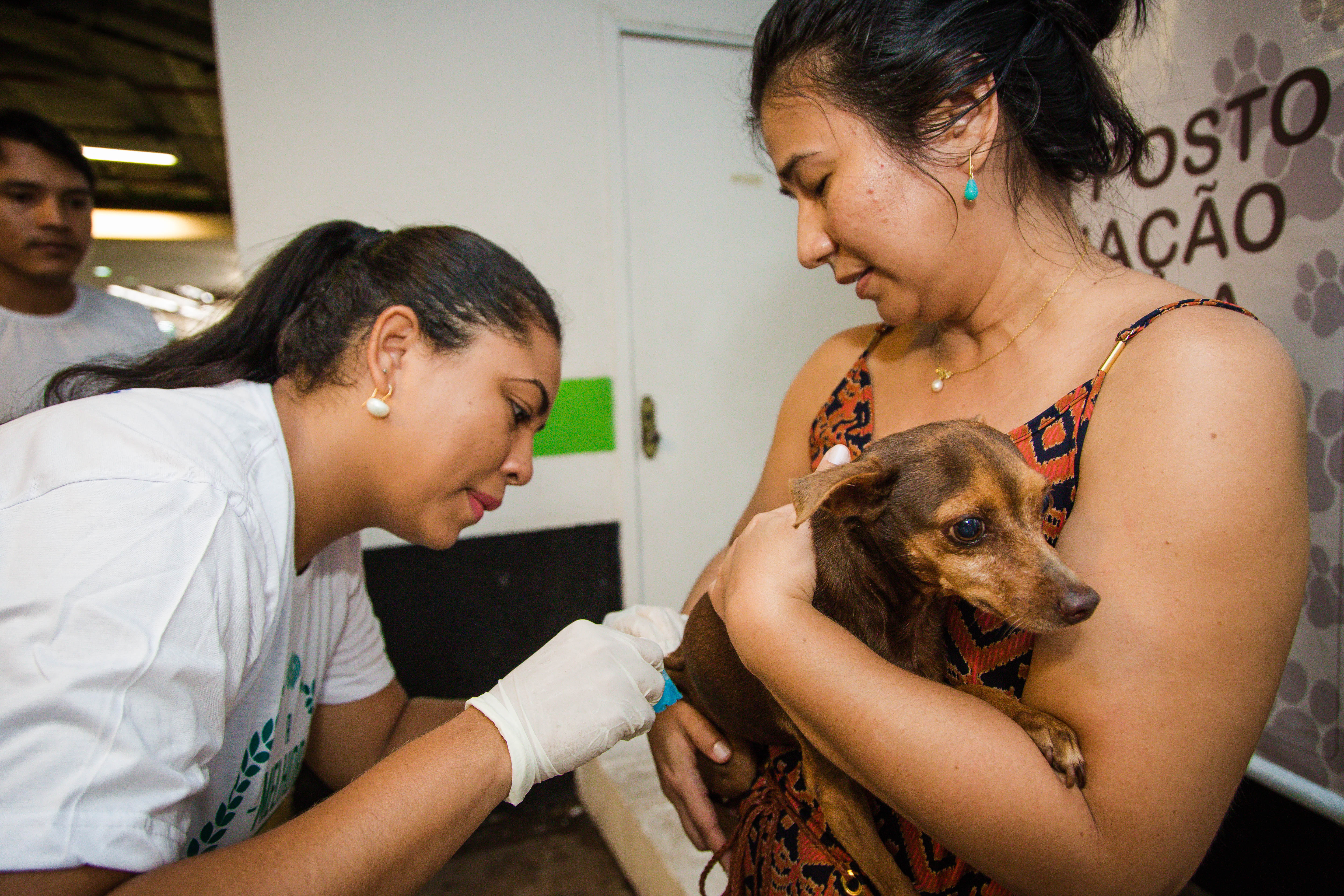 15 animais ganham novo lar após edição da Feira de Adoção