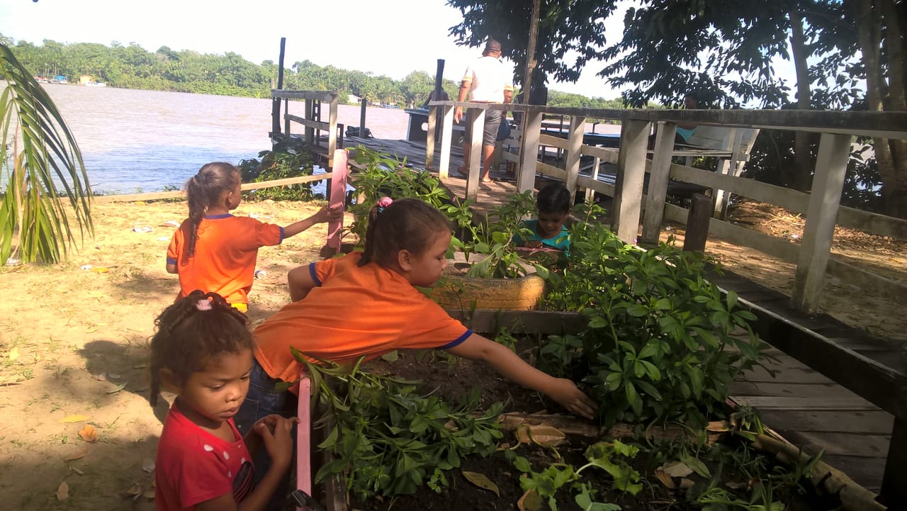Escola municipal do Combu é premiada em concurso nacional de alimentação escolar
