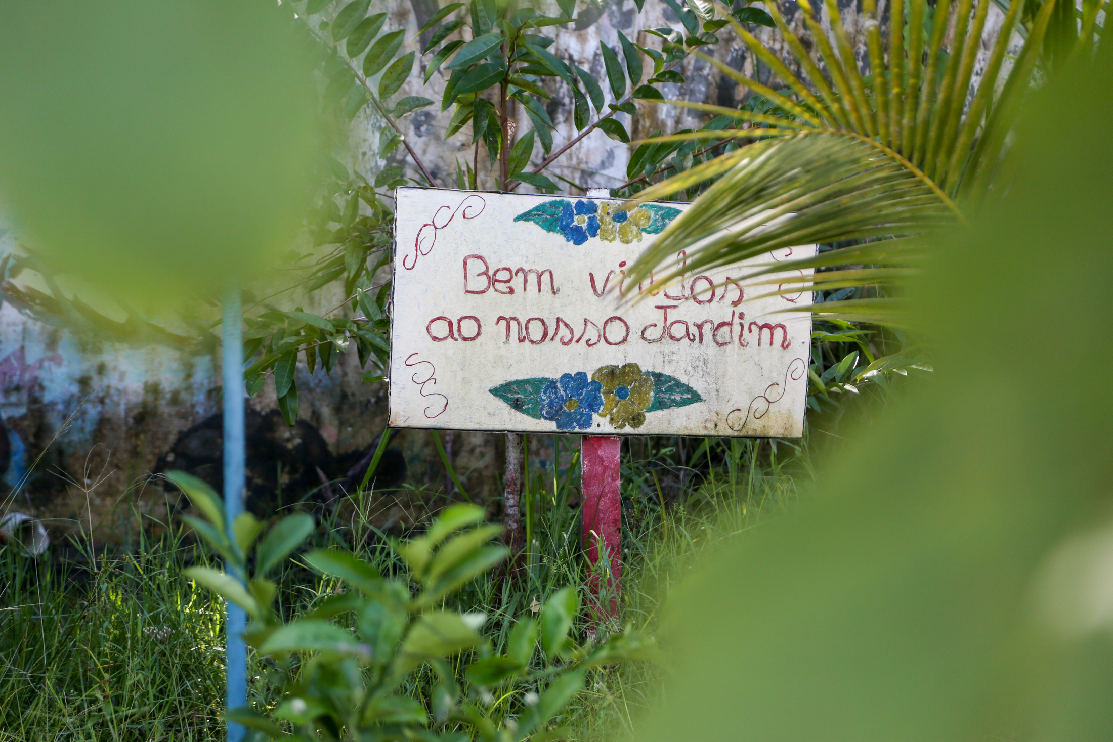 Prefeitura de Belém ajuda moradores da Terra Firme a manter área verde