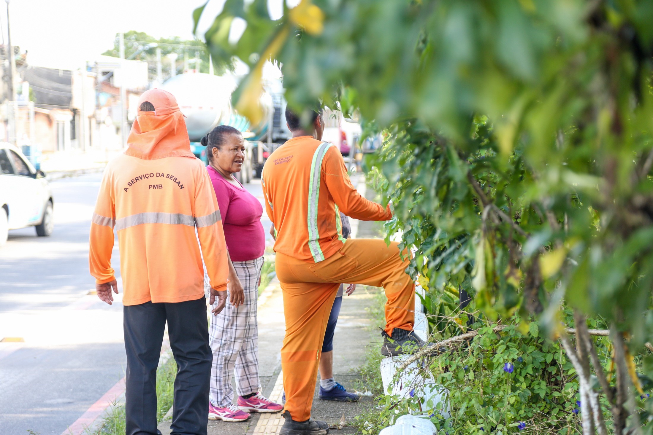 Prefeitura de Belém ajuda moradores da Terra Firme a manter área verde