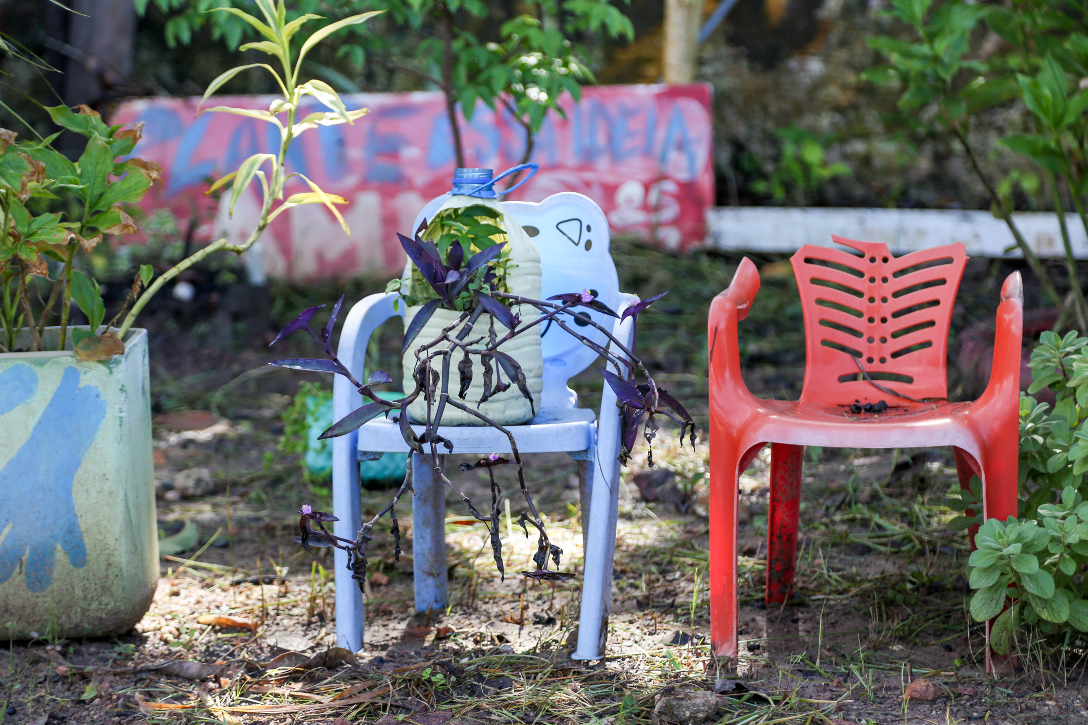 Prefeitura de Belém ajuda moradores da Terra Firme a manter área verde