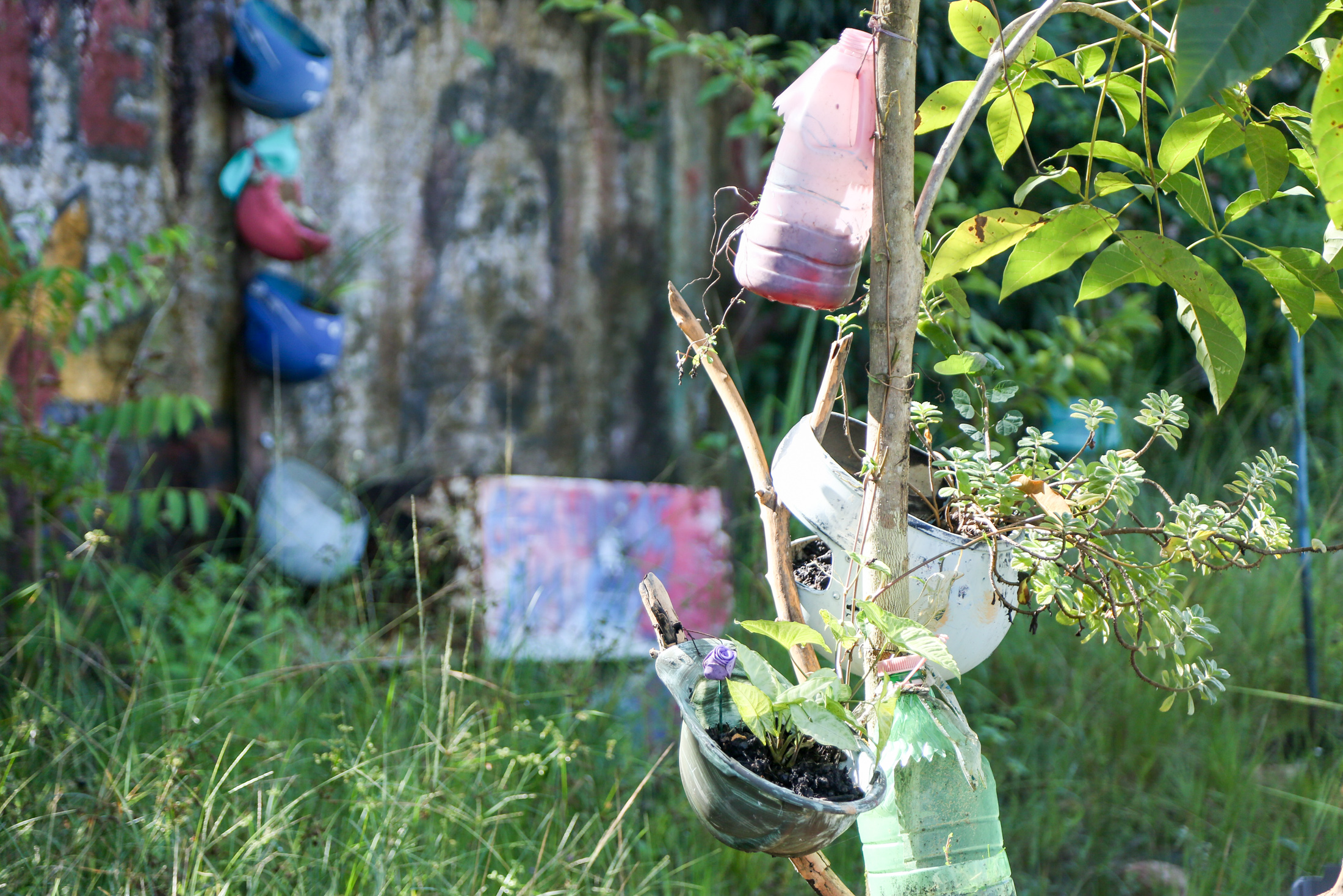 Prefeitura de Belém ajuda moradores da Terra Firme a manter área verde
