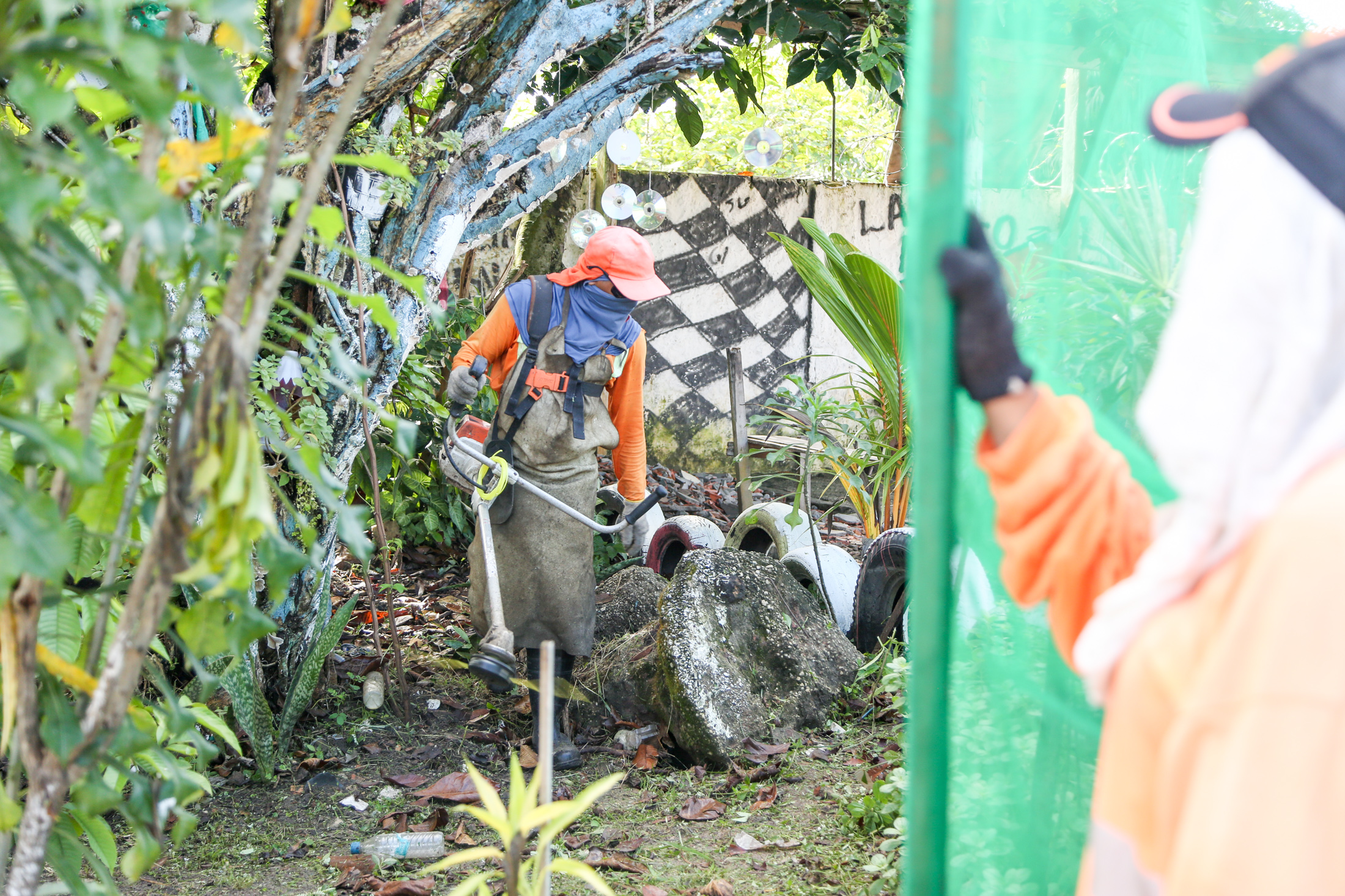 Prefeitura de Belém ajuda moradores da Terra Firme a manter área verde