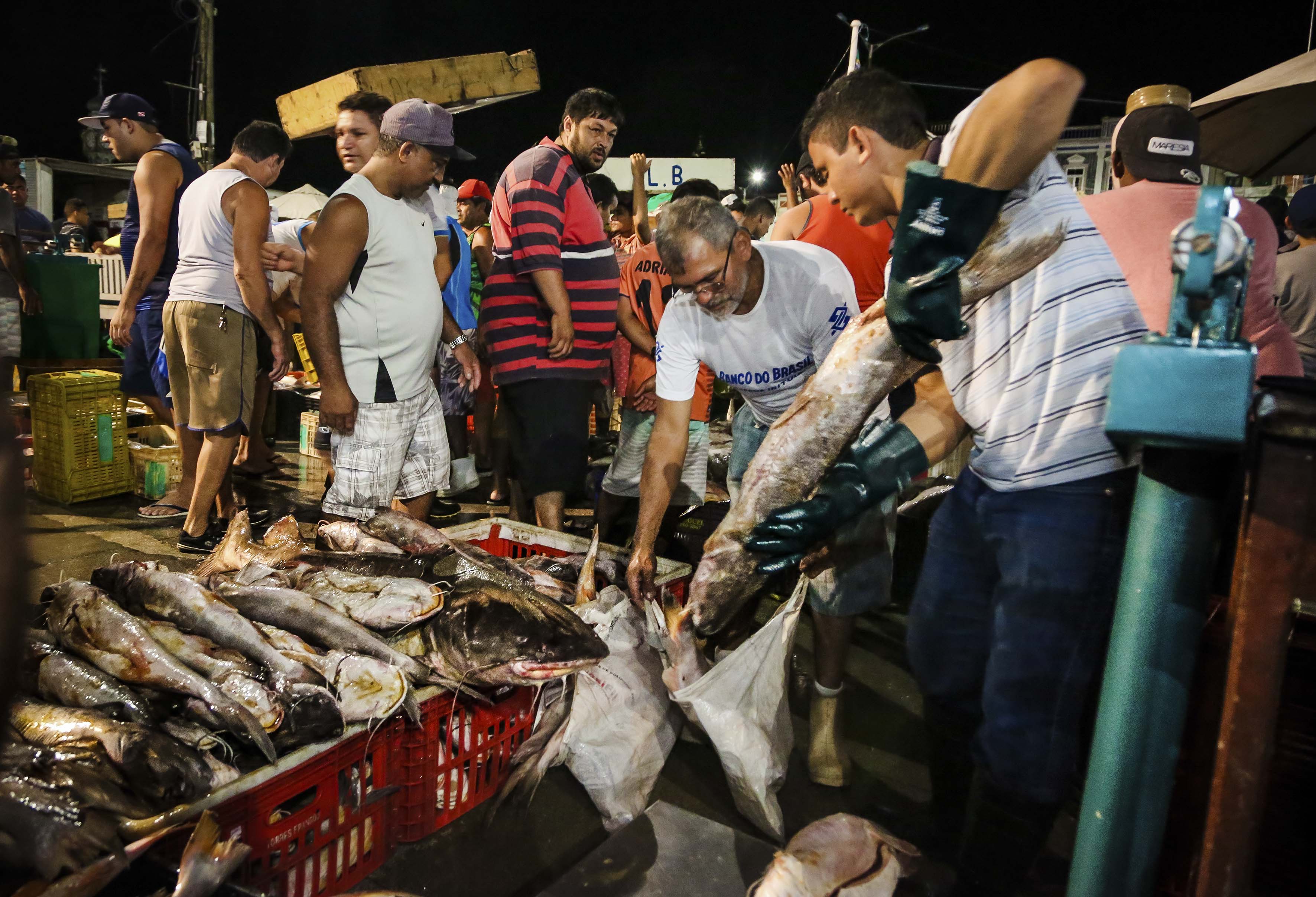 Prefeitura de Belém garante a comercialização e o preço do pescado na Semana Santa
