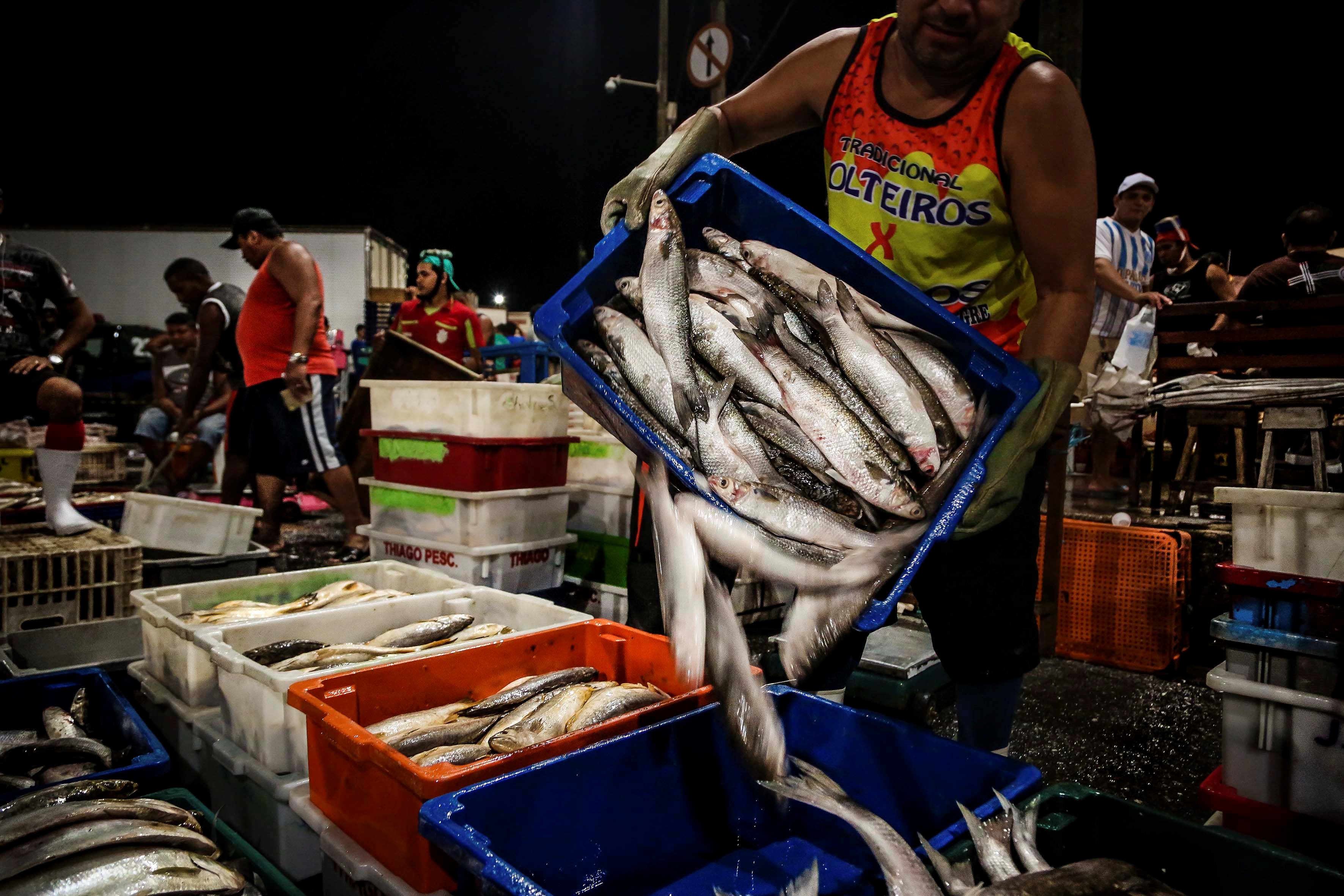 Prefeitura de Belém garante a comercialização e o preço do pescado na Semana Santa